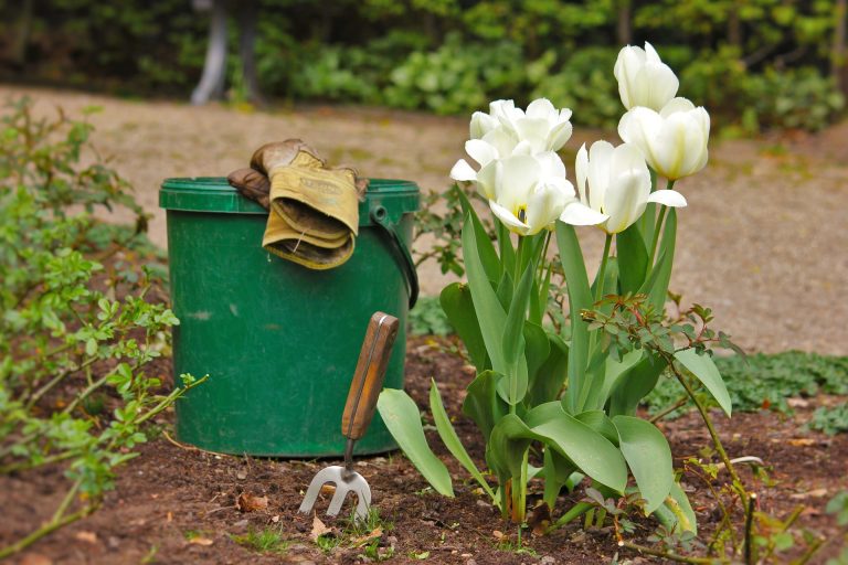 HomeGarden