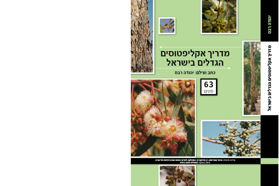 ספר מדריך האקליפטוסים בישראל